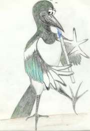 Marguerite Magpie - drawing by Anthony Harrington 